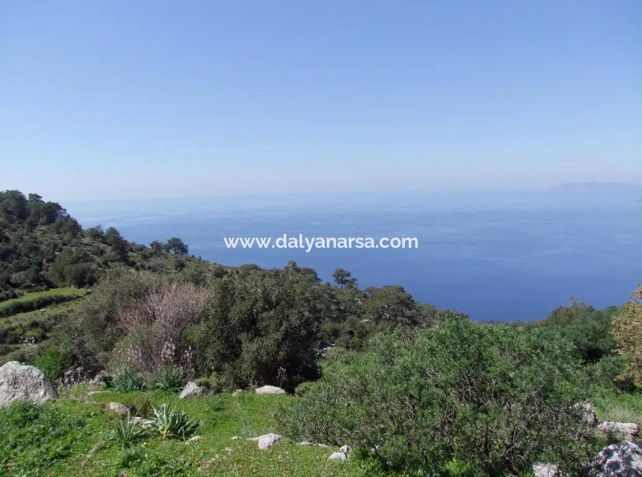 Land Zum Verkauf In Faralya Mit Vollem Meerblick Zum Verkauf