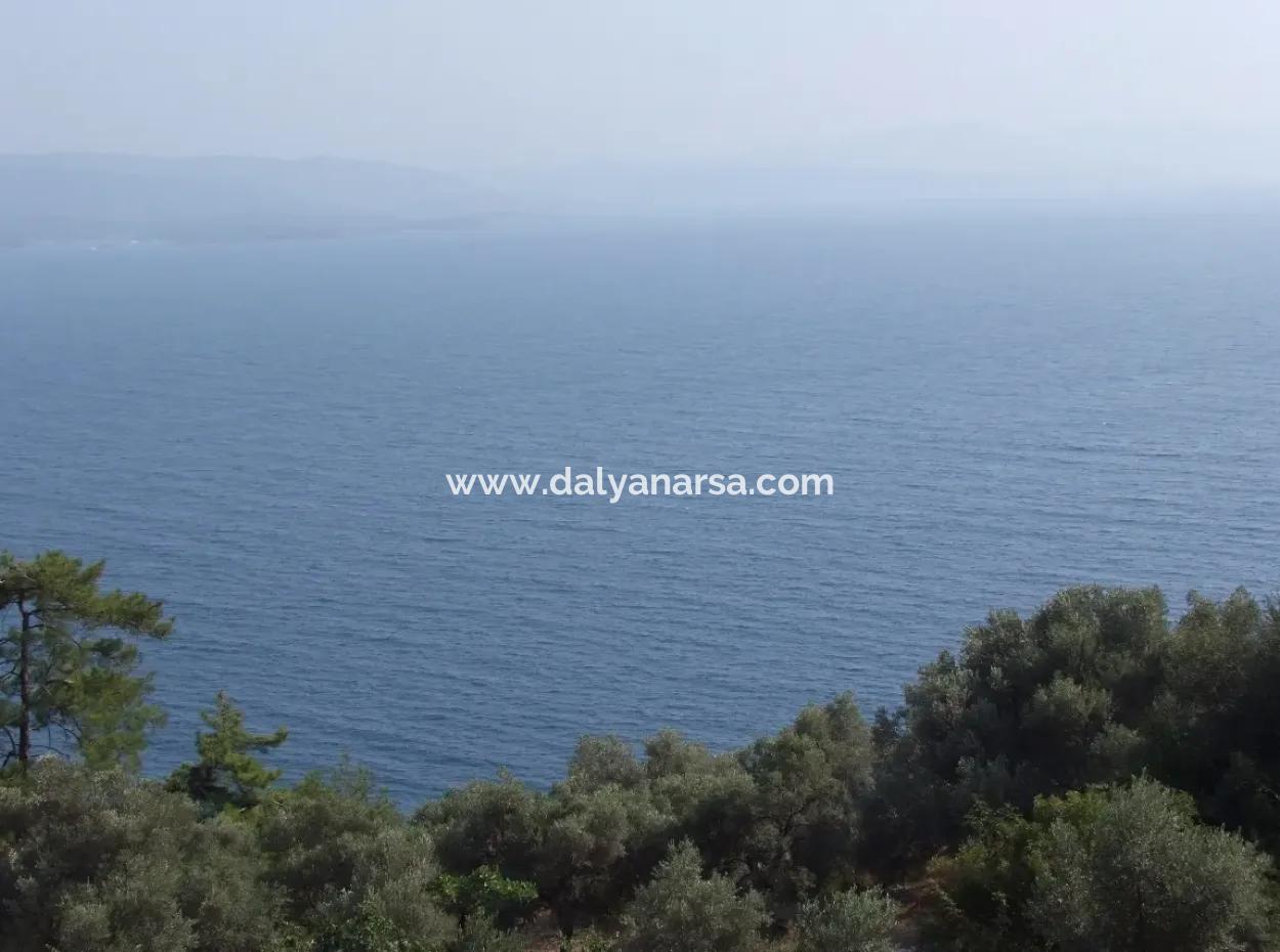 5000M2 Grundstück Zum Verkauf In Akyaka Mit Vollem Meerblick Haus Zum Verkauf Kentucky