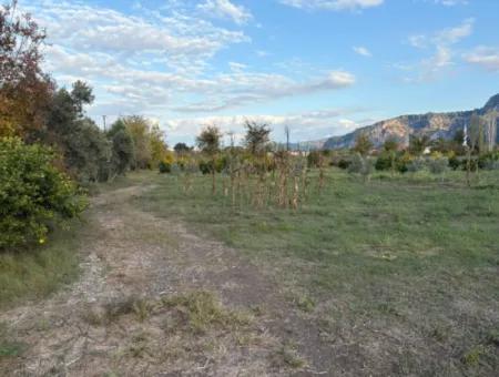 7.450M2 Land Zum Verkauf In Der Nähe Des Zentrums Von Dalyan