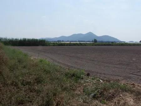 Bauernhof Zum Verkauf In Dalyan Eskikoy Eskikoy Oriya 14,900M2 Grundstück Zu Verkaufen Feld