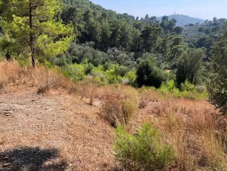 Tourismus-Zonen Grundstücke Zum Verkauf In Göcek Mit Meerblick Zum Verkauf In Gocek