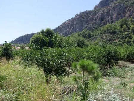 In Dalyan Grundstück Zum Verkauf In Channel Zero