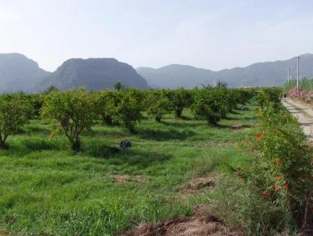 Merkez Dalyan Iztuzu See-Garten-Villa Zum Verkauf