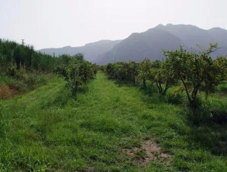 Merkez Dalyan Iztuzu See-Garten-Villa Zum Verkauf