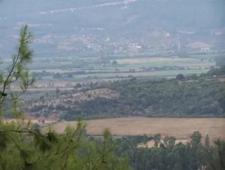 Gökçe Gökçe 21671M2 Bauernhof Zum Verkauf Zum Verkauf