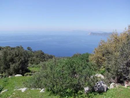 Land Zum Verkauf In Faralya Mit Vollem Meerblick Zum Verkauf