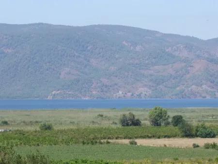 Bauernhof Zum Verkauf Bauernhof Zum Verkauf In Dalyan 73410M2