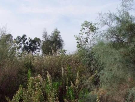 Grundstück Zum Verkauf In Dalyan Zum Verkauf In Dalyan-Kanal Null