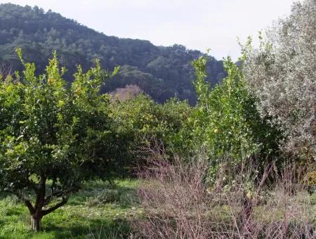 Zum Verkauf In Koycegiz, Dalyan Grundstück Zum Verkauf 10629M2