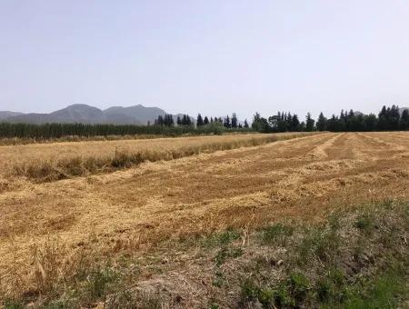 Ackerland Zum Verkauf 39 Hektar In Eskikoy