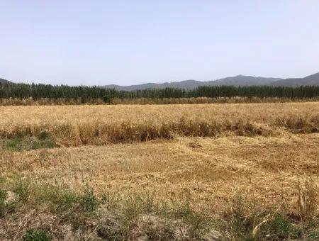 Ackerland Zum Verkauf 39 Hektar In Eskikoy