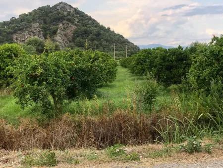 722M2 Grundstück Zum Verkauf In Dalyan Gülpınar Zum Verkauf