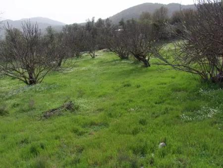 In Incirkoy Uzumlu Fethiye Grundstück Für Verkauf Bauernhof Zum Verkauf In Incirkoy