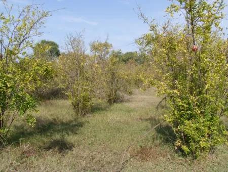 Güzelyurt Land Zu Verkaufen Dorf Gebaut 6670M2 Land Zum Verkauf