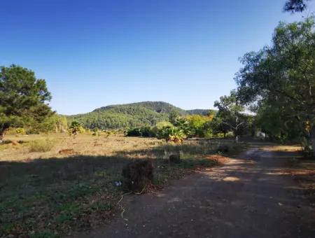 Land Zum Verkauf In 'Aml'da Marmaris 'Aml'da Meerblick 11720M2 Land Zu Verkaufen