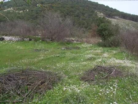 In Incirkoy Uzumlu Fethiye Grundstück Für Verkauf Bauernhof Zum Verkauf In Incirkoy