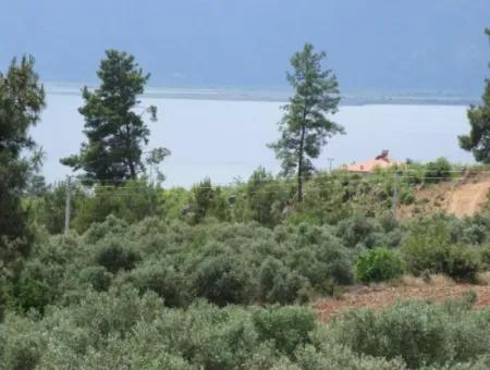 Luxus-Villa Zu Verkaufen In Zeytinalanda Köyce'inz Zeyt'nalanda 6800M2 Land Villa Zum Verkauf Mit Voller Seeblick