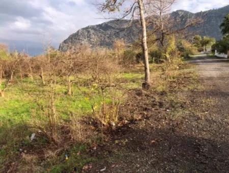 Dalyan Land Zu Verkaufen In Der Nähe Des Zentrums 3000M2 5% Zoning Land Zu Verkaufen