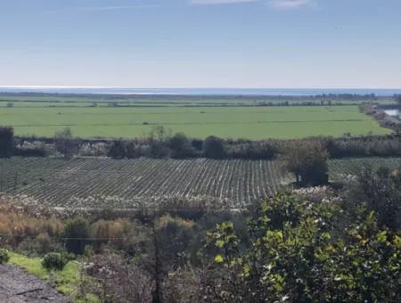 Grundstück Zum Verkauf Mit Meerblick Von Fevziye