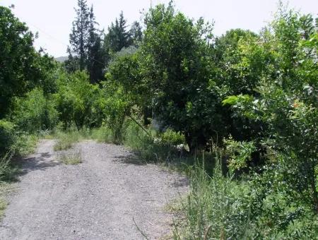 Land-Handlung Zum Verkauf Zum Verkauf In Oriya Yerbele 750M20