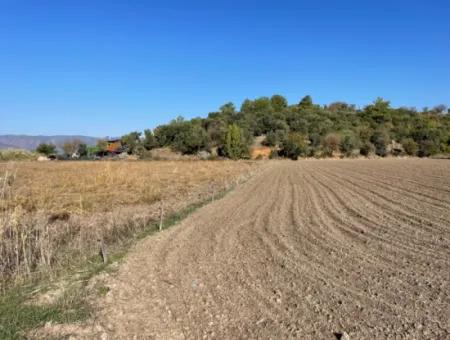 6254M2 Feld Zum Verkauf In Der Nähe Von Dalyan In Eskiköy