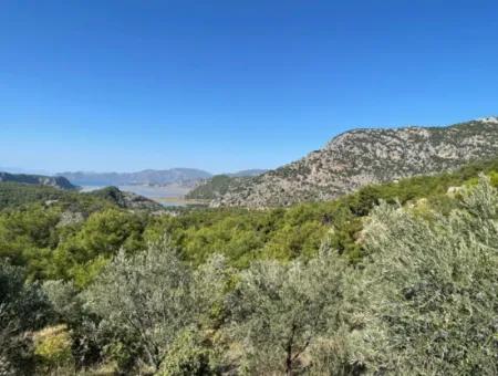 Gökbelde Voller Meerblick 3514M2 Grundstück Zum Verkauf