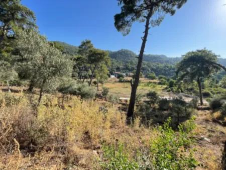 1.320M2 Feld Zum Verkauf Im Zentrum Von Çandır Am Wald