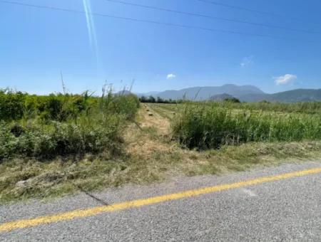 6.500 M2 Feld Zum Verkauf An Der Iztuzu-Straße In Dalyan