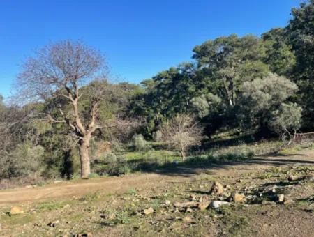 2B Grundstück Zum Verkauf Mit Meerblick In Çandır