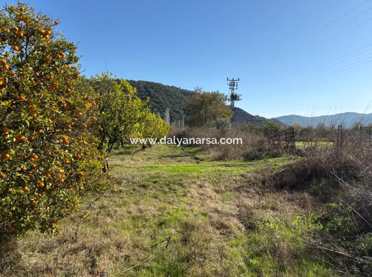 23,000M2 Detached Field Garden For Sale In Tepearasin,