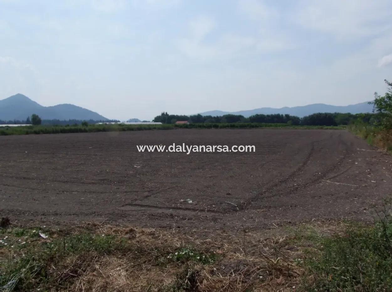 Farm For Sale In Dalyan Eskikoy Eskikoy Oriya 14,900M2 Plot For Sale Field