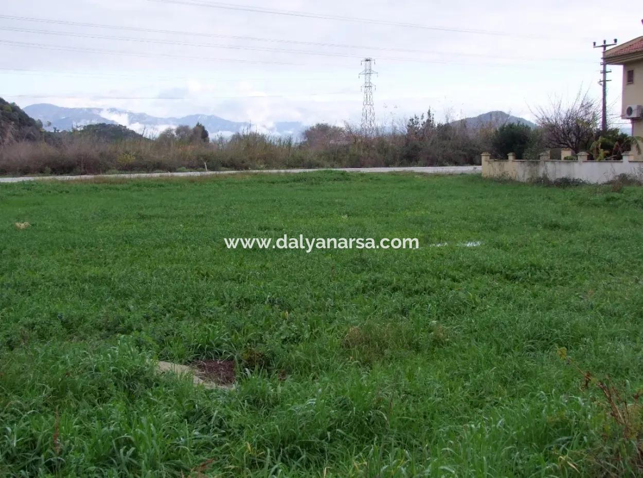 Gulpinar Dalyan Dalyan For Sale In 1002M2 Plot For Sale For Sale Cornerstone