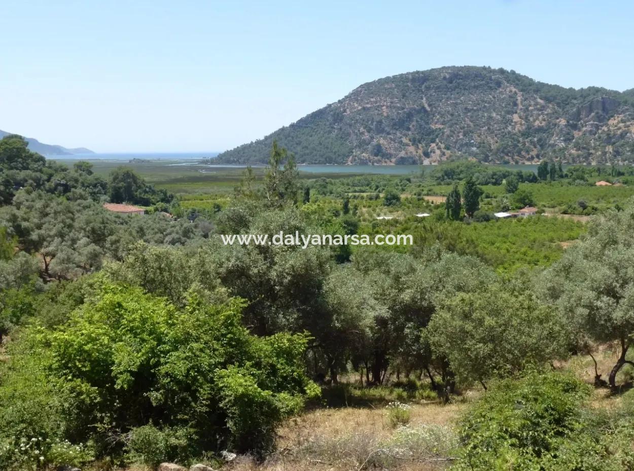 2300M2 Land For Sale Near The Center Of The Land For Sale