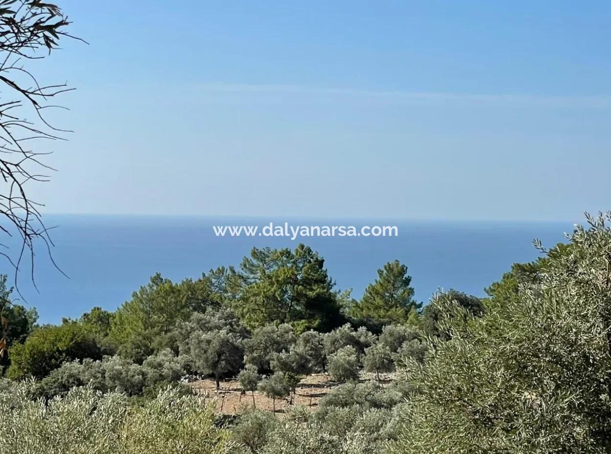 Land For Sale With Sea View Of Çandir