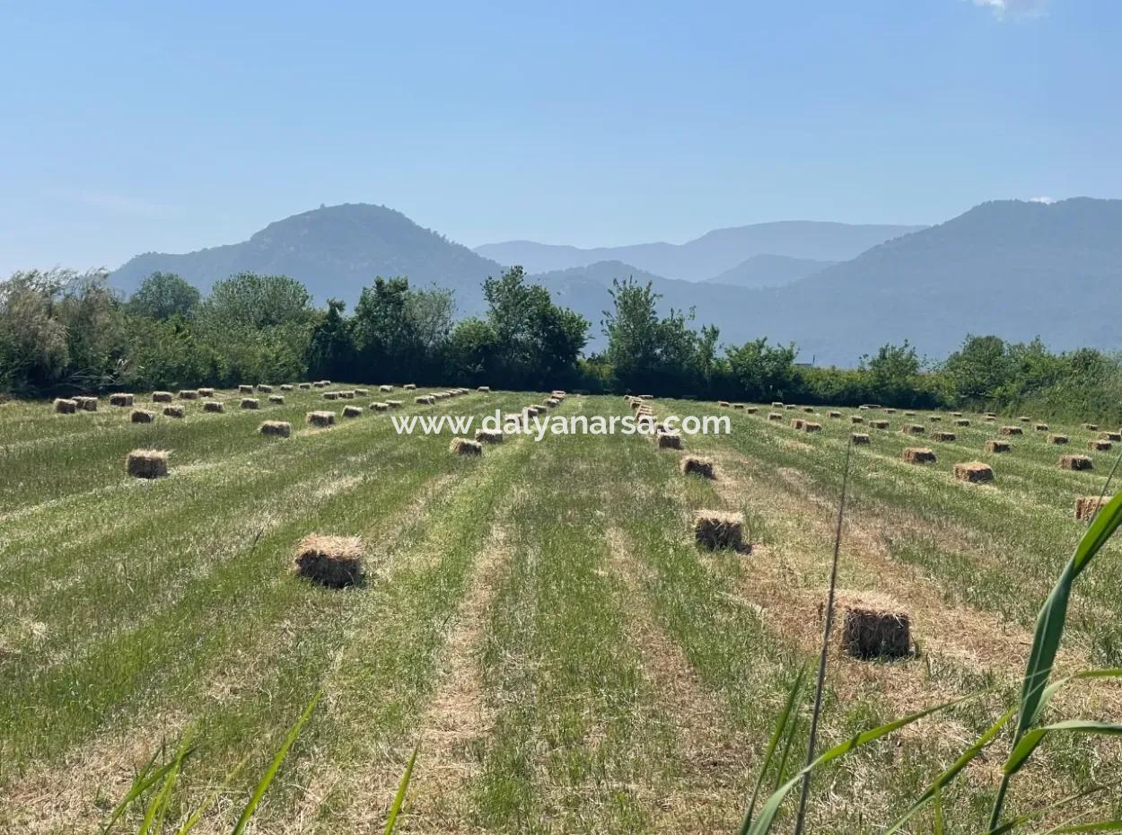 6,500M2 Field For Sale On The Iztuzu Road In Dalyan