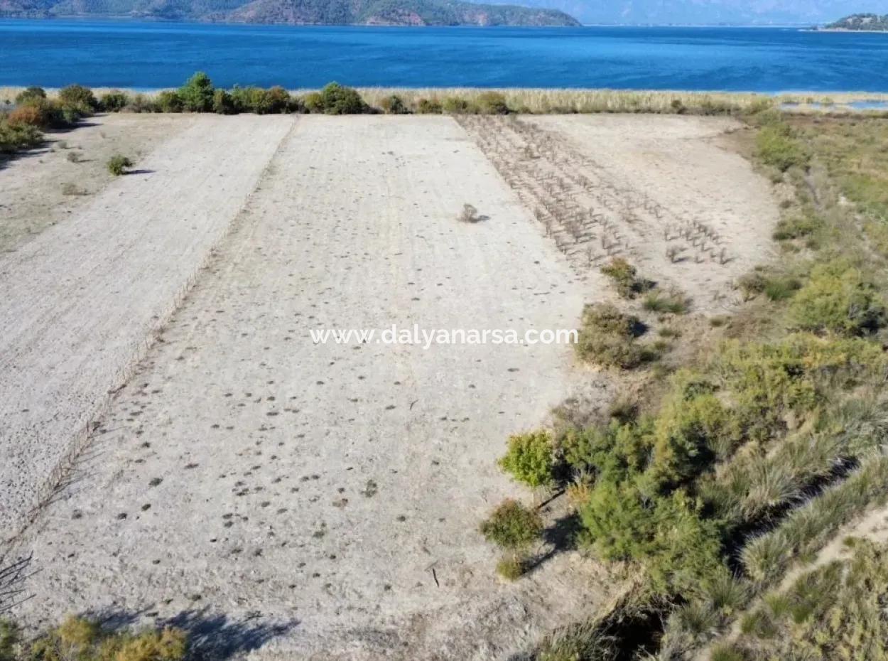 3210M2 2B Land For Sale By The Lake In Çandır