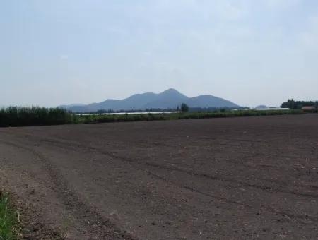 Farm For Sale In Dalyan Eskikoy Eskikoy Oriya 14,900M2 Plot For Sale Field