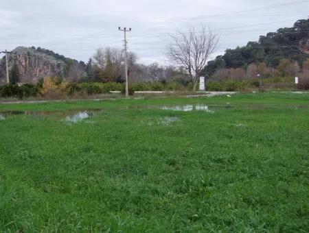 Gulpinar Dalyan Dalyan For Sale In 1002M2 Plot For Sale For Sale Cornerstone