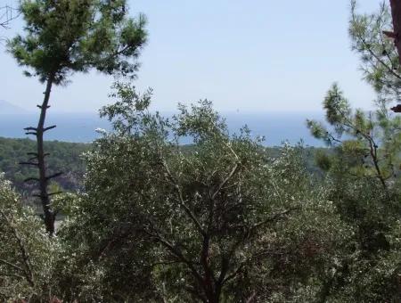 For Sale Land Also With Full Sea View For Sale In Sarigerme Land For Sale