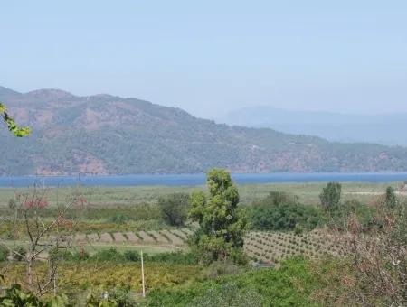 For Sale Farm For Sale In Dalyan 73410M2