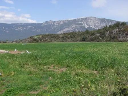 In Akyaka For Sale: Land For Sale Farm For Sale A Farm Near The Sea Of Ars, Yatirimlik 21625M2