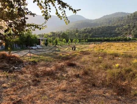 2300M2 Land For Sale Near The Center Of The Land For Sale