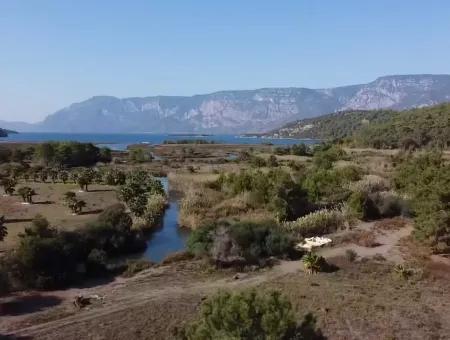 Land Land For Sale In Çamlıda Marmaris Çamlıda Sea View 11720M2 Land For Sale