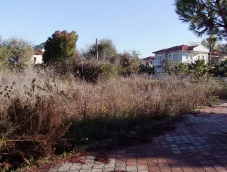 For Sale Plot For Sale Plot For Sale In Dalyan Gurpinar 1006M2 At The Corner