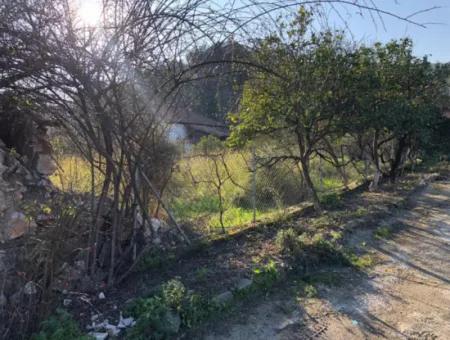 777M2 Land For Sale In Ula Sarayyanı