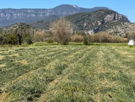 3700M2 Land For Sale In Dalyan