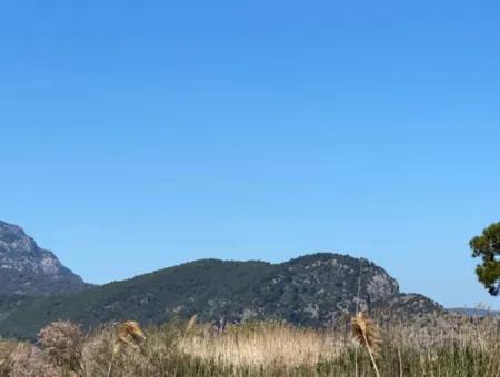 9310M2 Land For Sale In Dalyan