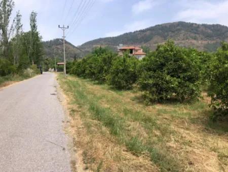 Land For Sale In Sourliyurtda 1085M2