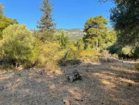 Çandir 3,800M2 Land For Sale