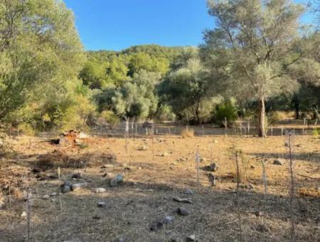 Çandir 3,800M2 Land For Sale